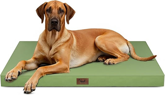 Outdoor Extra Large Dog Bed, Jumbo Waterproof Dog Bed for Large Dogs, Orthopedic Egg Crate Foam Pet Mat with Removable Oxford Cooling Cover, Light Green