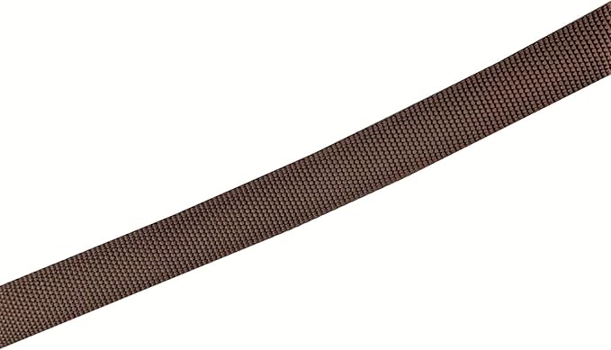 TAIAN 4FT/5FT/6FT Strong Dog Leash, Nylon Dog Leashes for Small Medium Large Dogs (5/8 in x 5 ft, Brown)