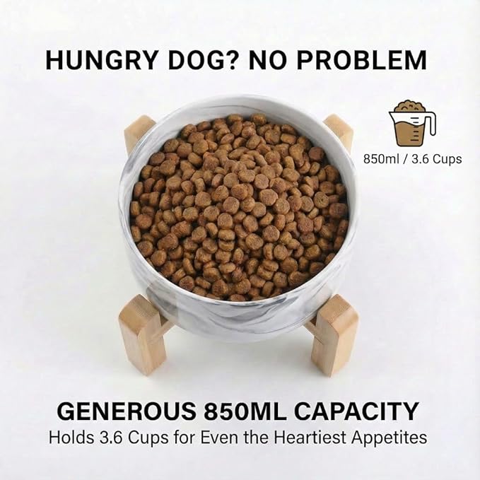 hjn Elevated Ceramic Dog Bowl 15°Slanted Raised Dog Bowl with Bamboo Stand for Small Medium Dogs and Cats, Pet Feeder -3.6-Cup (850ml)-Marble Gray