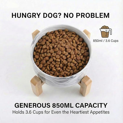 hjn Elevated Ceramic Dog Bowl 15°Slanted Raised Dog Bowl with Bamboo Stand for Small Medium Dogs and Cats, Pet Feeder -3.6-Cup (850ml)-Marble Gray