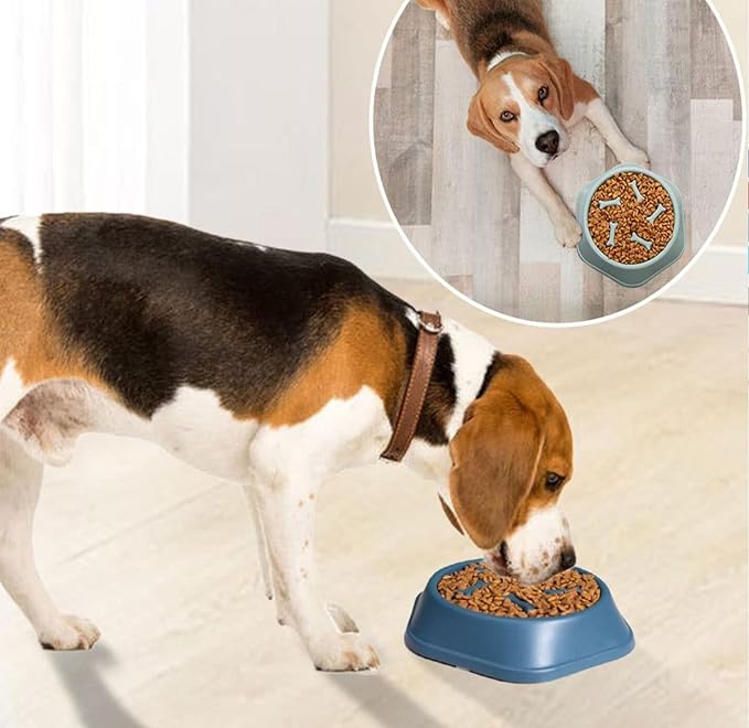 Slow Feeder Dog Bowl,Anti Gulping Healthy Eating Interactive Bloat Stop Fun Alternative Dog Slow Food Feeding Pet Bowl,