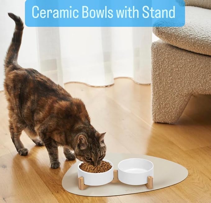 Ceramic Cat and Small Dog Bowl Set – Modern Indoor Small Size Pet Food and Water Bowls with Wood Stand – Non Slip Puppy Sized Feeding Station with Double Dishes (White)