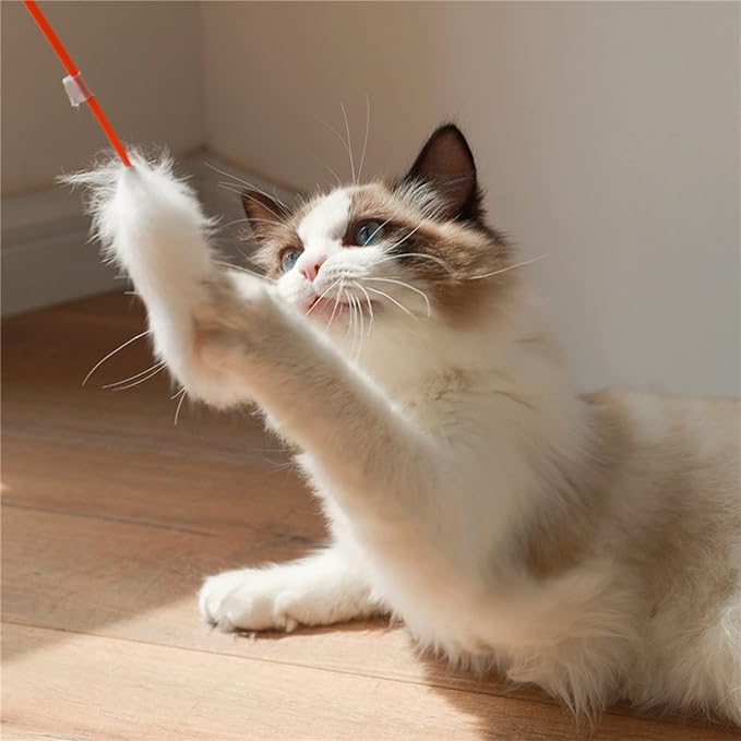 plplaaoo Interactive Cat Plush Teaser Wand for Indoor Play - Bite Resistant Flexible Soft Plush Cat Wand Toy for Kitten Training & Exercise,Funny Stick for Cats(White)