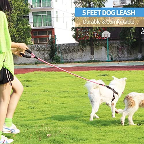 BAAPET 2/4/5/6 FT Dog Leash with Comfortable Padded Handle and Highly Reflective Threads for Small Medium and Large Dogs (5FT-1/2'', Pink) - Image 5