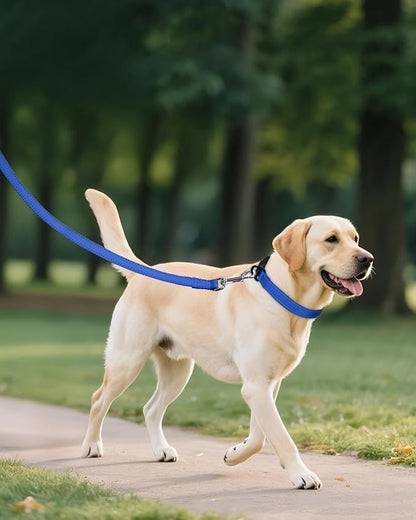 Joytale Dog Collars for Medium Dogs, Comfortable Double-Sided Reflective Nylon Collar for Night Safety, Adjustable Quick-Release for Active Pets, Navy Blue, M (1" Width)