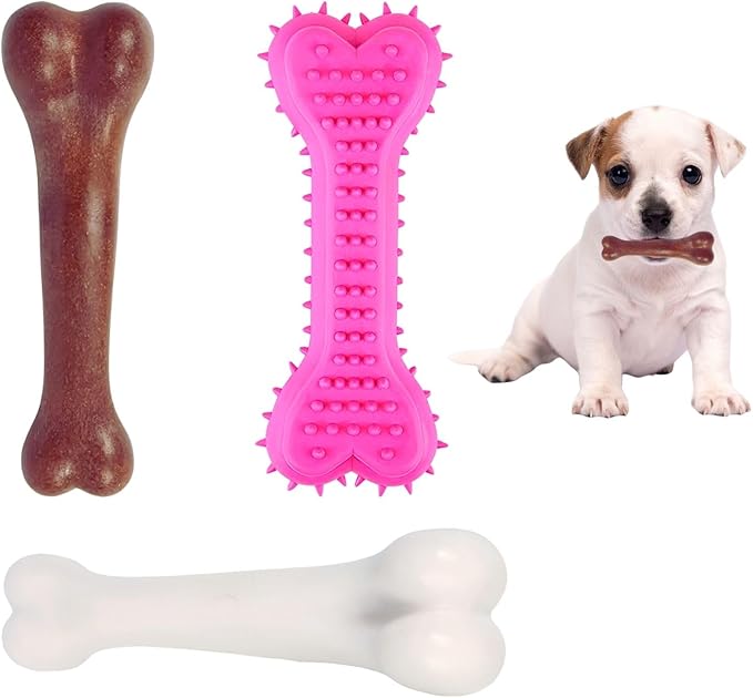 Durable Dog Bone Chew Toy for Small Breeds, Squeaky, Puppy Chew Bone, Supports Dental Health & Teething Relief, 4.5”, Pack of 3 for Small to Medium Dogs