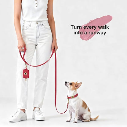 Didog Stylish PU Leather Dog Leash for Small Dogs, Easy to Clean 5ft Small Dog Leash with Metal Tangle-Free Clip, Fashionable and Elegant for Walking, Running and Training,Red, S