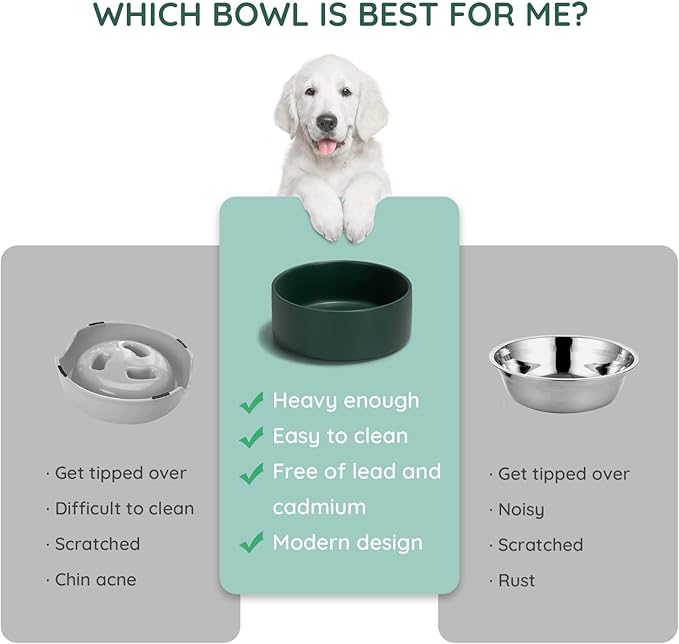 SPUNKYJUNKY 28.7OZ Ceramic Dog and Cat Bowl, Modern Cute Weighted Food Water Bowl for Replacement Green (2 Pack)