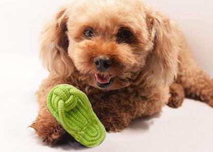Sunglow Dog Toy Interactive Chewing Rope Ball Toys Natural Cotton Washable Durable Tug of War for Small Medium Dogs Puppies Training Playing Teeth Cleaning (Shoes)
