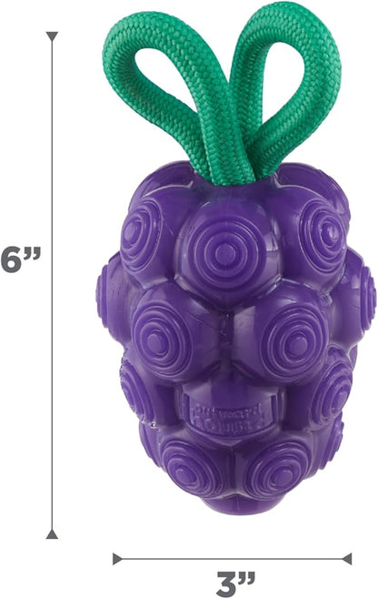 Outward Hound Dental Grapes Dog Toy & Treat Stuffer, 6″ x 3″ Grape-Scent Interactive Chew for Dogs, Helps Clean Teeth, Promote Healthy Gums & Mental Enrichment, Reduce Boredom & Support Dental Health