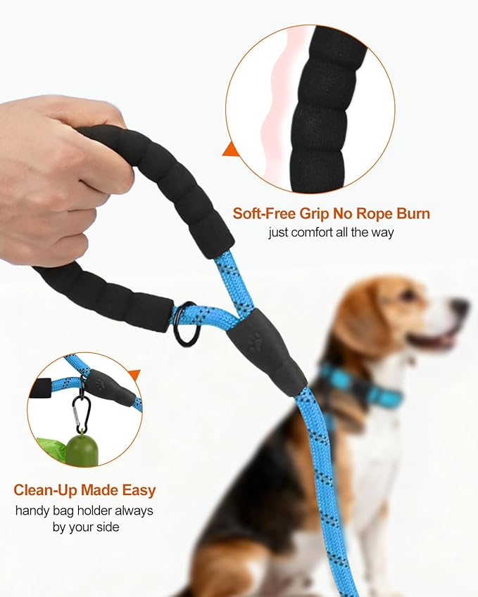 Joytale Dog Leash for Small Dogs, Heavy Duty Nylon Leashes with Comfortable Padded Handle and Highly Reflective Threads, Ideal for Walking and Training, SkyBlue, 6'×3/8''