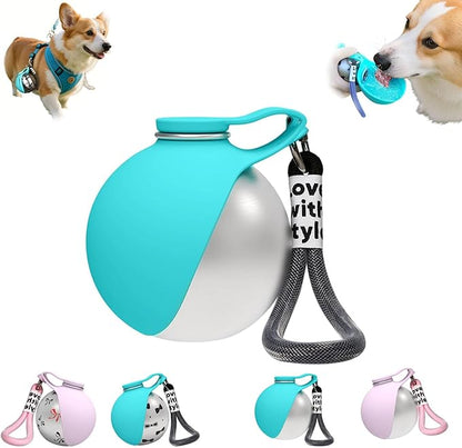 Foldable Pet Water Bottle for Travel, 2 in 1 Portable Dog Water Bottle, Water Bottle for Dogs on Walks, Stainless Steel Bottle & Silicone Bowl, for Walking Hiking Small Dog Water Bottle (Blue)