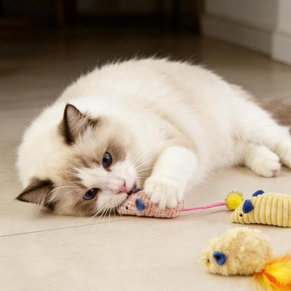 Andiker 3PCS Cat Mouse Toys, Colorful Catnip Toys for Cats with Rattle Box Ribbon Feather Interactive Cat Toys for Indoor Cats to Chew Bite Teeth Cleaning (Yellow)