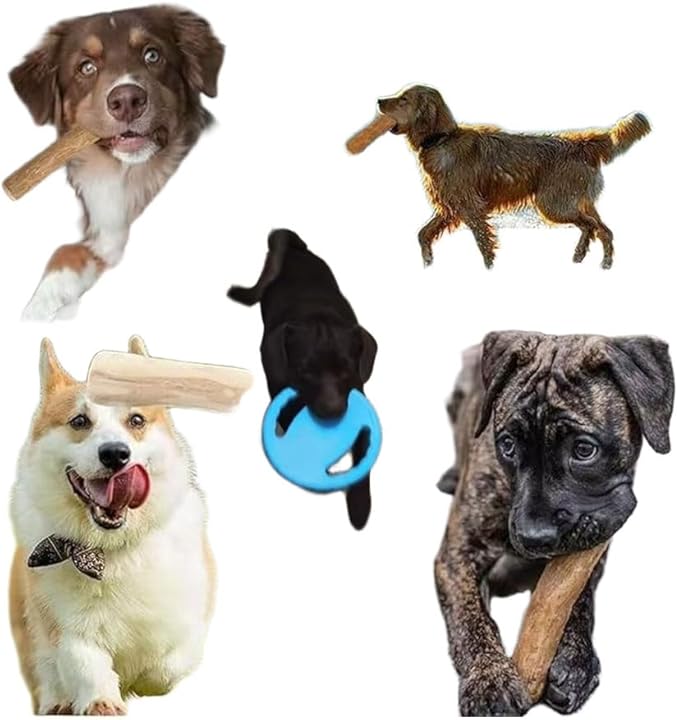 Dog Water Pool Toys, Floating Dog Beach Pull Flying Disc Fun Interactive Small Dog Toy for Small Dog, Water Toys for Dogs that Float Animal Birthday Gift
