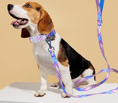 6FT Dog Leash, Strong Nylon Tie Dye Dog Lead with Heavy Duty Holographic Laser Hardware Comfortable Padded Handle Leash for Medium Large Dogs