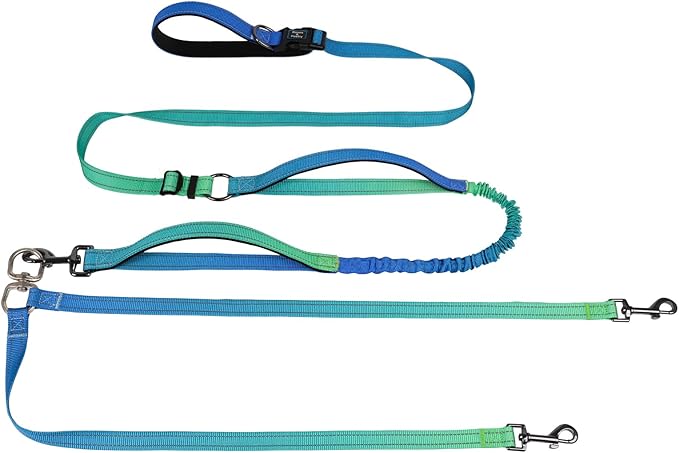 Roses&Poetry Hands Free Double Dog Leash for Two Dogs, 9-11ft Adjustable Bungee Walking Waist Lead, Dual Dog Leash with Tangle-Free Swivel for Medium Large Dogs Heavy Duty Running(Bluegreen)