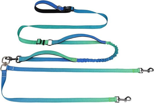 Roses&Poetry Hands Free Double Dog Leash for Two Dogs, 9-11ft Adjustable Bungee Walking Waist Lead, Dual Dog Leash with Tangle-Free Swivel for Medium Large Dogs Heavy Duty Running(Bluegreen)