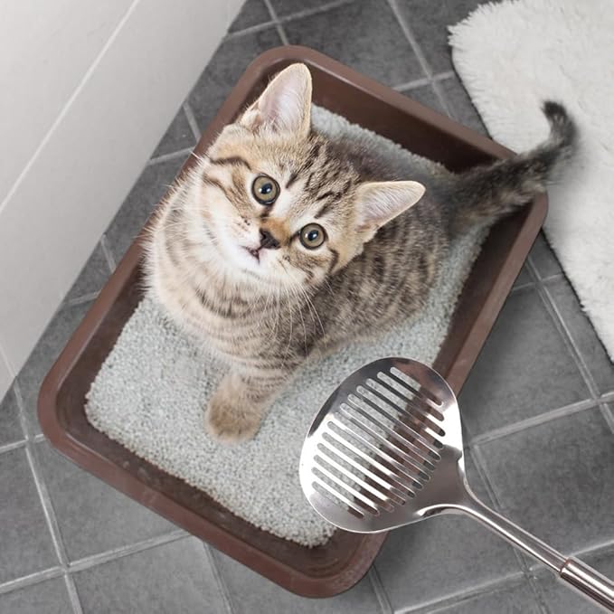 2pcs Cat Litter Scoop, Stainless Steel Litter Scoop Long Handle Durable Cat Mesh Shovel (Sliver)