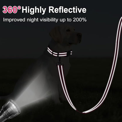 Reflective Dog Leash 4ft Soft Padded Handle Nylon Lead for Small & Medium Dogs, Durable Walking Training Leash for Night Safety (Hotpink,1Inch Wide)