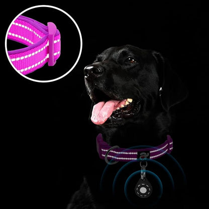 azuza Reflective Dog Collar with Airtag Holder, Soft Neoprene Padded Pet Collar with ID Tag Ring, Adjustable for Puppy and Small Dogs,Purple,XS