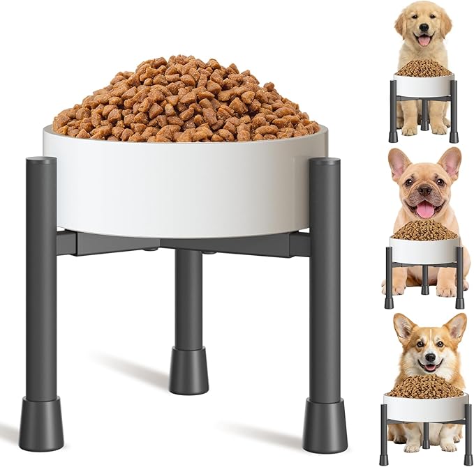 Single Elevated Dog Bowl Stand for Small Medium Breed, Adjustable Width 6-10in, 10in Tall Non-Slip Metal Raised Puppy Food Feeder Water Holder, Fits Various Size Ceramic Stainless Steel Pet Bowl
