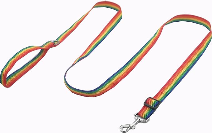TAIAN Adjustable Nylon Dog Leash, 6FT/10 FT Long Dog Leashes for Small Medium Large Dogs (1 in x 6 ft, Rainbow)