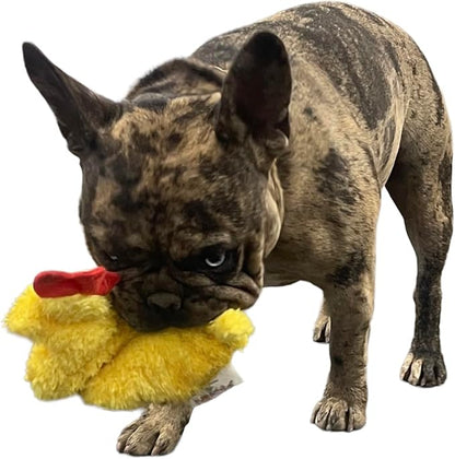Chicken and Egg Crinkle Squeaker Pack Fun Durable Interactive Fetch Toys for Puppies Dogs Small Amimals