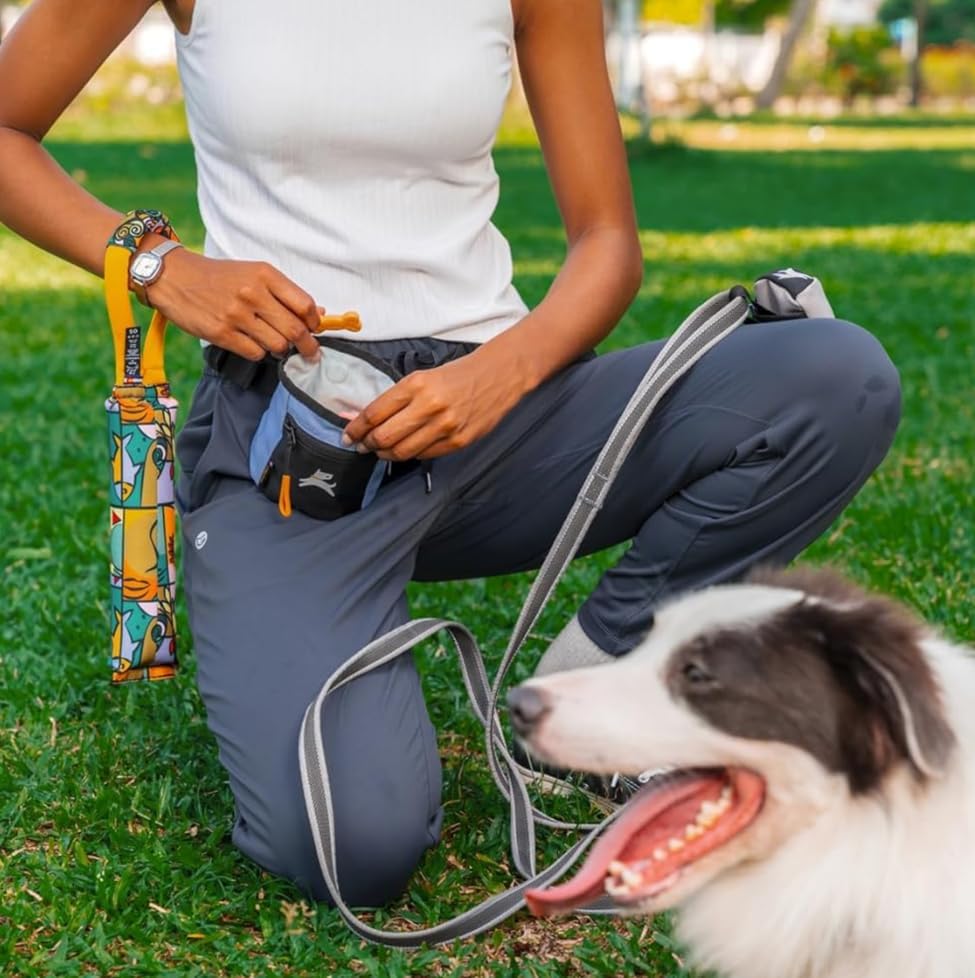 OllyDog, Goodie Treat Bag, Dog Treat Training Pouch | Magnetic Closure | 3 Ways to Wear | Hands-Free Waist Belt | Water-Resistant Recycled Vegan Fabric (Blue Heron) - Image 3