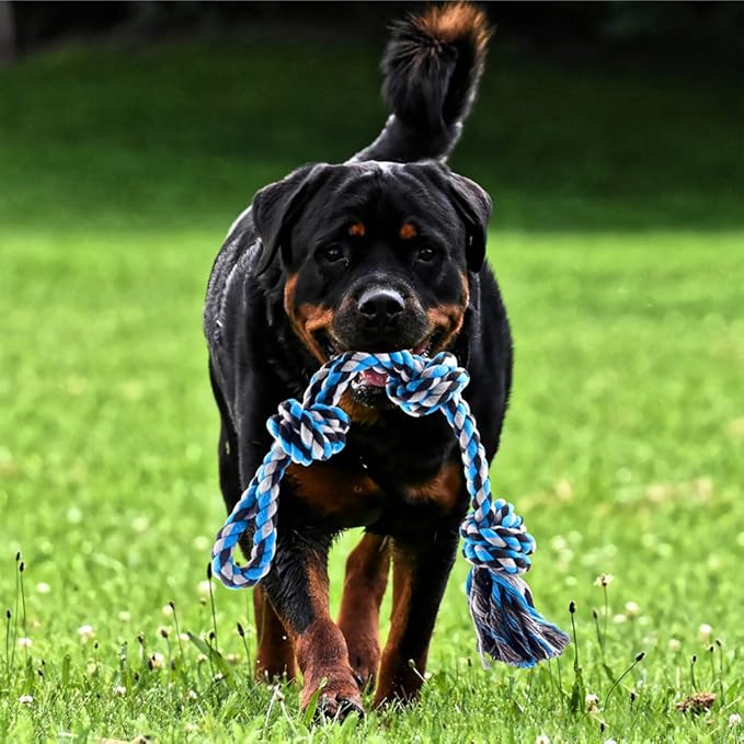 SIXRUN Spring Pole Dog Rope Toy, Rust Proof Steel, Muscle Building, Outdoor Tug of War Exercise, 38.97 Inch, for Large Dogs