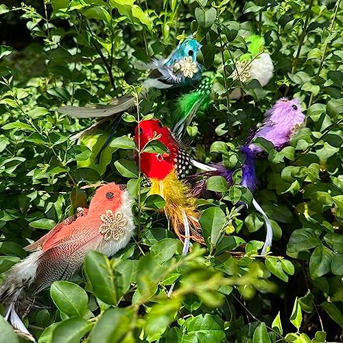 Cat Feather Toys Refill, 5 Pieces Attachments Feathers Bird for Cat Wand - Image 5