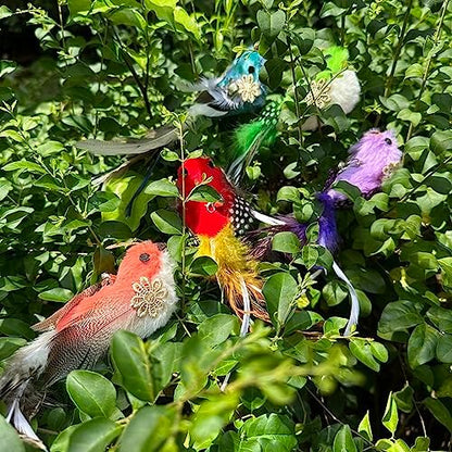 Cat Feather Toys Refill, 5 Pieces Attachments Feathers Bird for Cat Wand - Image 5