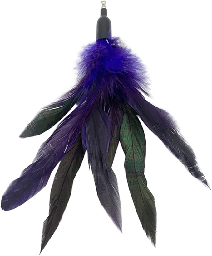Cat Feather Toys Refills, 10 Pieces Cat Wand Replacement Feathers Toy for Indoor Cats
