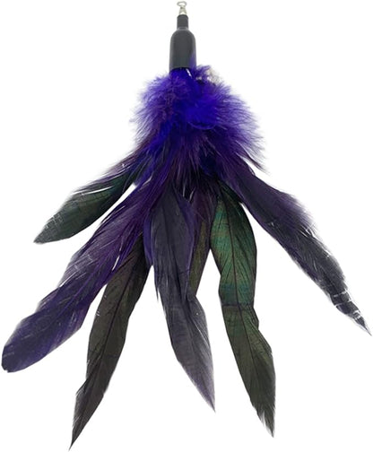Cat Feather Toys Refills, 10 Pieces Cat Wand Replacement Feathers Toy for Indoor Cats