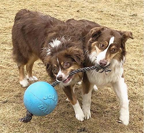 Jolly Pets Romp-N-Roll Rope & Ball Dog Toy, 8 in Large, Blueberry - Image 2