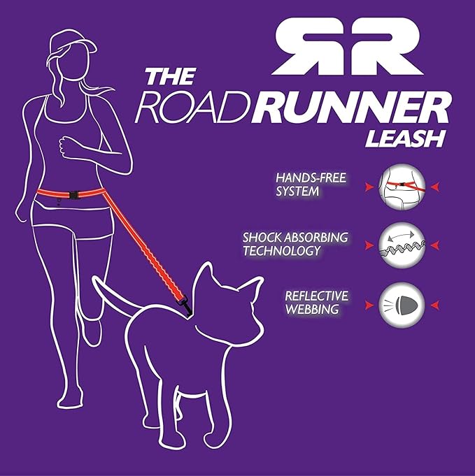 EzyDog Road Runner LITE Hands Free Dog Leash for 26lbs or Less – Waist Leash for Dog Walking, Jogging and Running with Zero Shock Bungee, Reflective Stitching, and Adjustable Waist (Lite, Blue)