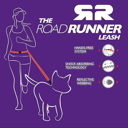 EzyDog Road Runner Hands Free Dog Leash – Waist Leash for Dog Walking, Jogging and Running with Zero Shock Bungee, Reflective Stitching, and Adjustable Waist (Black)
