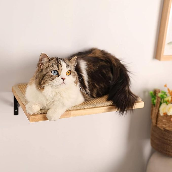 2 Pieces Cat Hammock Wall Mounted Floating Wall Shelf with Cat Scratching Mat Thick Solid Wood Cat Tree for Cat (2 Pieces Hammock)