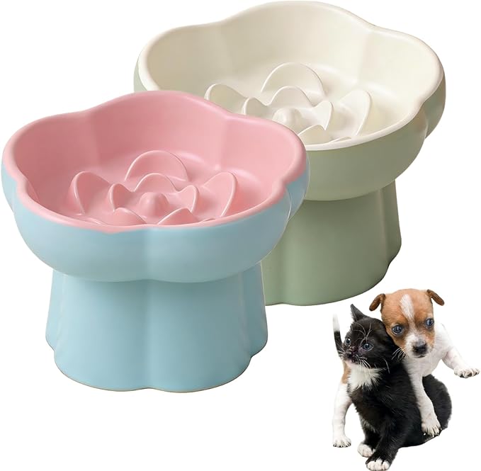 Ceramic Elevated Slow Feeder Cat Bowl,Anti Vomit Design for Whisker Fatigue Relief,Elevated Slow Feeder Bowls for Indoor Cats&Small Breeds,Perfect for Wet Food&Small Dogs (2, Green and Blue)