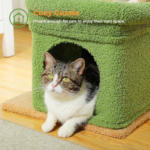PEQULTI Small Cat Tree Tower for Indoor Cats, Sisal Post & Cozy Condo Green - Image 5