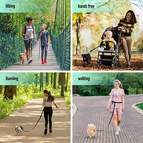 The Buddy System - Hands Free Dog Leash - Small Dog, Large Belt, Black - Image 4