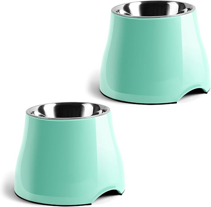 Fluffydream Elevated Dog Bowls, Prevention of Vertebrae Disease, Non-Slip With Stainless Steel Bowl, High Capacity Food Bowls (MintGreen 2 Packs, L 860ML / 3 Cups)