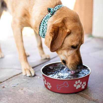 Loving Pets Bella Dog Bowls- Stainless Steel Dog & Cat Bowls - Spill Proof Dog Food Bowl, Cat Bowl, Puppy Essentials & Pet Supplies Great for Home & Travel (X-Large 65-100lbs, Merlot)