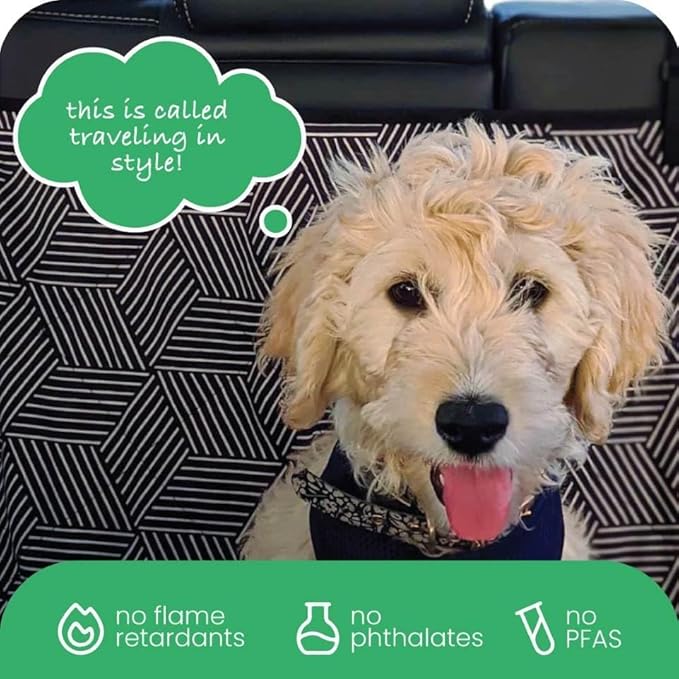 Molly Mutt 3-in-1 Back Seat Cover for Dogs, 100% Cotton Canvas Back Seat Hammock with Headrest Straps, Belt Slots, & Anchors, Non-Skid Cargo Area Cover, Machine Washable, No Harmful Chemicals, 56"x56"