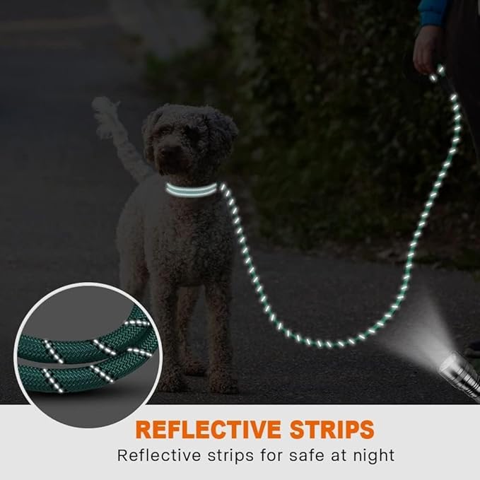 Taglory Rope Dog Leash 6 FT with Comfortable Padded Handle, Highly Reflective Threads Leash and Anti-Tangle Clip for Walking Small Dogs, 3/8 inch, Turquoise