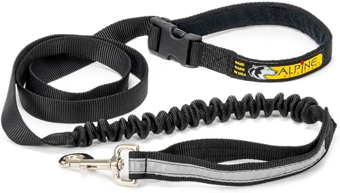 Alpine Outfitters Urban Trail Double Duty Leash with Padded Handle, Traffic Handle and 3M Scotchlite Reflective Bands - Go Hand-Held or Hands-Free!