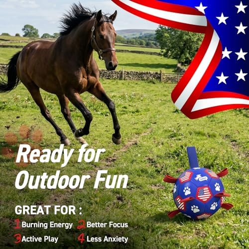 QDAN Dog Balls with Straps, Large Herding Balls for >90lbs Dogs, Soccer Toy - Image 2