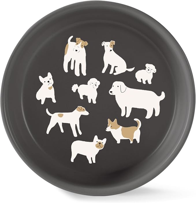Fringe Studio DOGGOS Medium Stoneware Pet Bowl, PetShop Collection (479008)