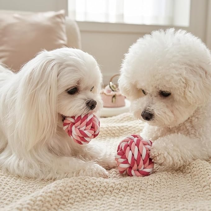Durable Cotton Rope Dog Ball Toy, Hand-Woven Chew and Teeth-Cleaning for Puppies and Small to Medium Dogs, Interactive Play and Training (2-Red Set) (Red-to-White Color)