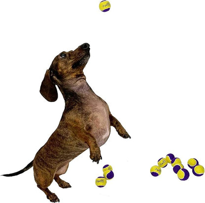 Midlee Squeaky Mini Tennis Ball for Dogs 1.5"- Pack of 12 (Yellow/Purple)