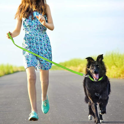FunTags 4FT Reflective Dog Leash with Soft Padded Handle for Training,Walking Lead for Large & Medium Dog,1 Inch Wide,Green